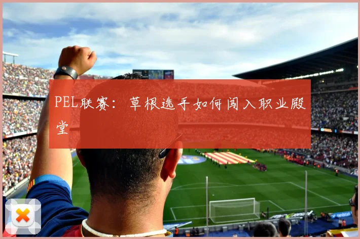 PEL联赛：草根选手如何闯入职业殿堂