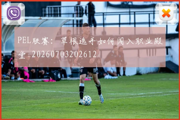 PEL联赛：草根选手如何闯入职业殿堂_20260703202612